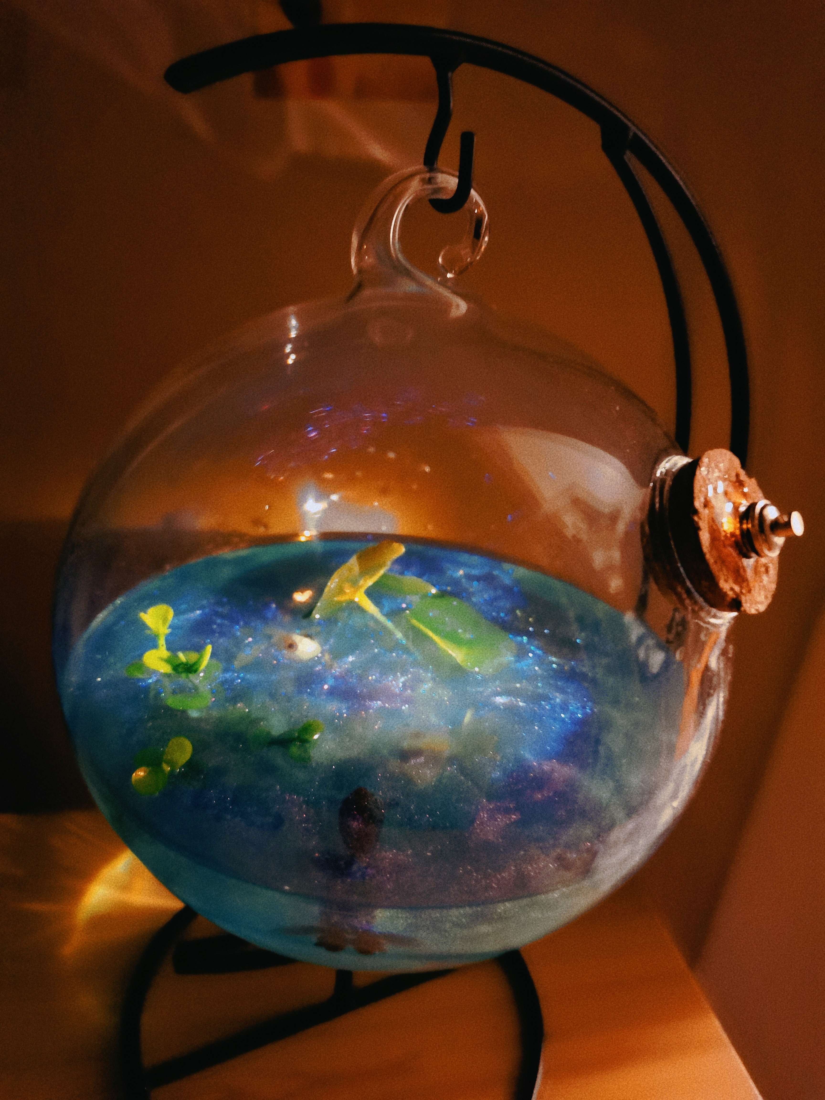 atropa 的想法: 滴胶作品之: 《五公斤的行为艺术》 又名… - 知乎