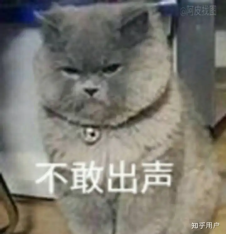 如何跟团欧洲游？