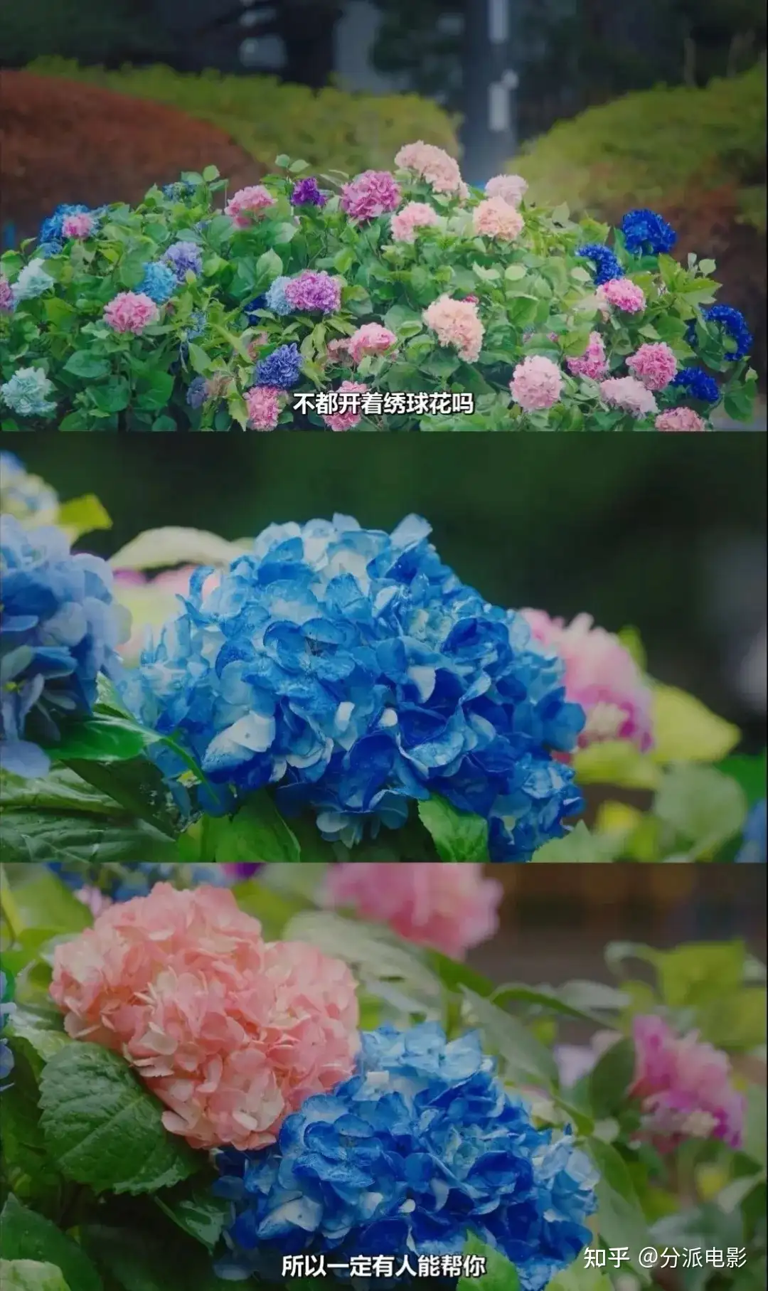 《对岸的家务事》豆瓣7.1,这部岛国育儿剧拍的太棒了!