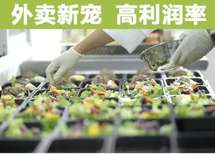 图片[2]-轻食沙拉技术配方减脂餐商用轻食餐教程轻食便当教程外卖食谱培训课程【电商热销616】-暗冰资源网