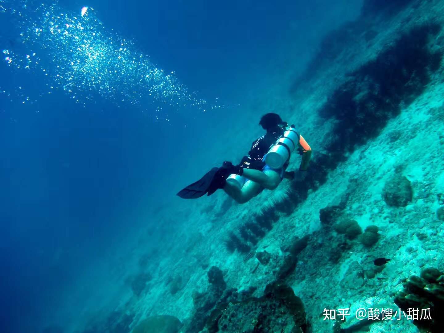 酸馊小甜瓜 的想法: 这几天万山岛的水也太好了吧!我的潜水… - 知乎