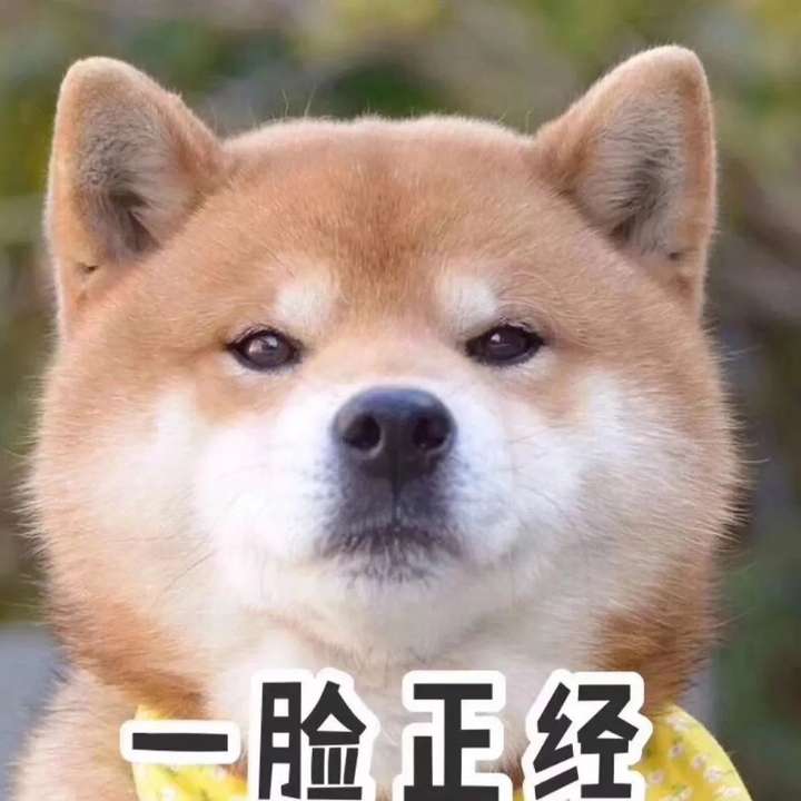 SEM小搜投放指南:竞价小渠道你做到极致了吗?插图1 SEM小搜投放指南:竞价小渠道你做到极致了吗?