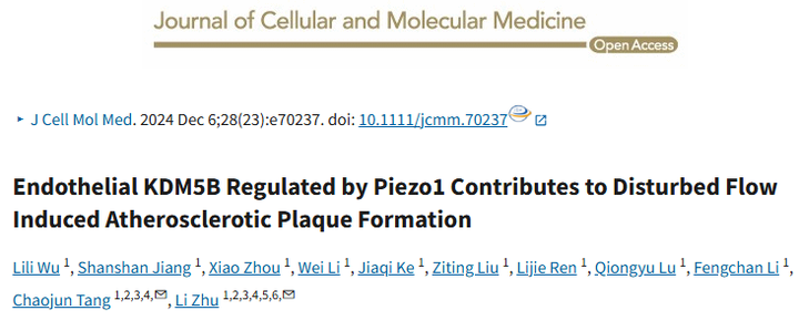 Piezo1 調(diào)控的內(nèi)皮 KDM5B 參與紊亂血流誘導(dǎo)的動(dòng)脈粥樣硬化斑塊形成