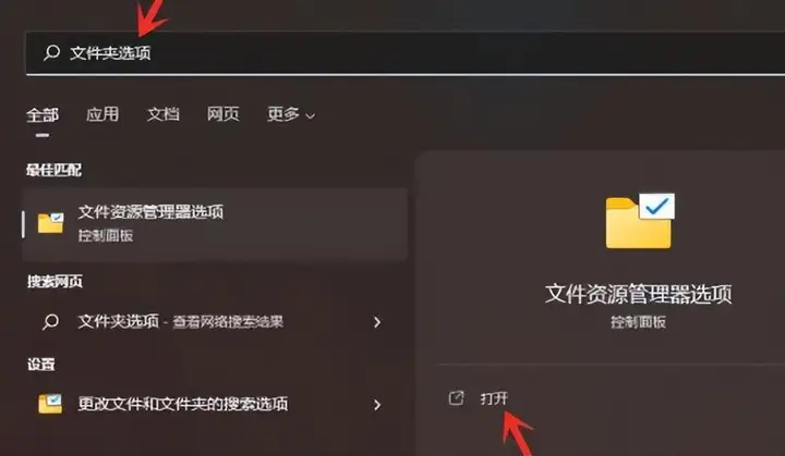 win11怎么显示隐藏的文件夹（电脑隐藏文件的恢复方法）