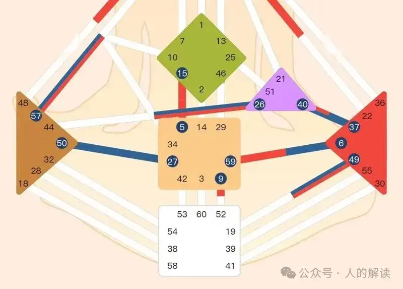 人类图简明入门使用教程-人的解读