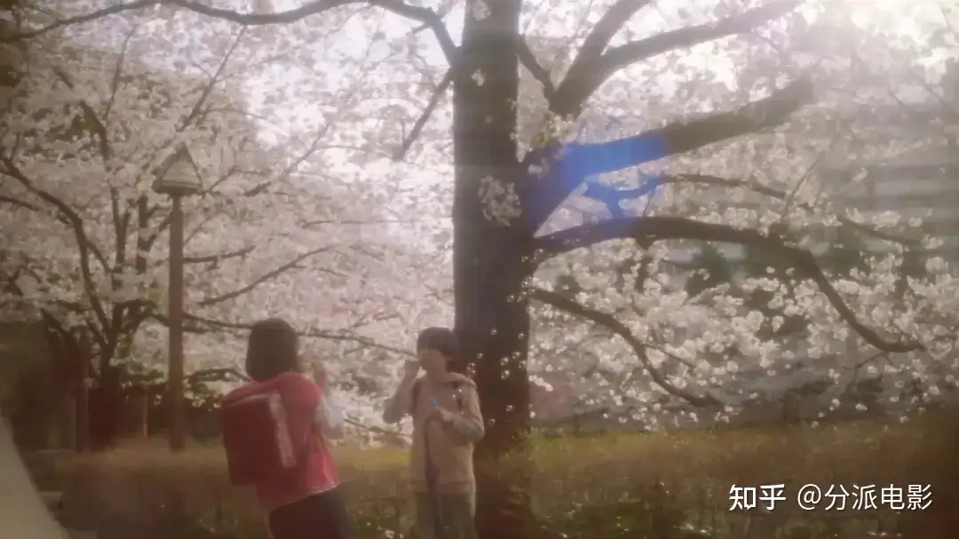 《秒速五厘米》经典动漫拍真人版，每帧都是回忆杀！