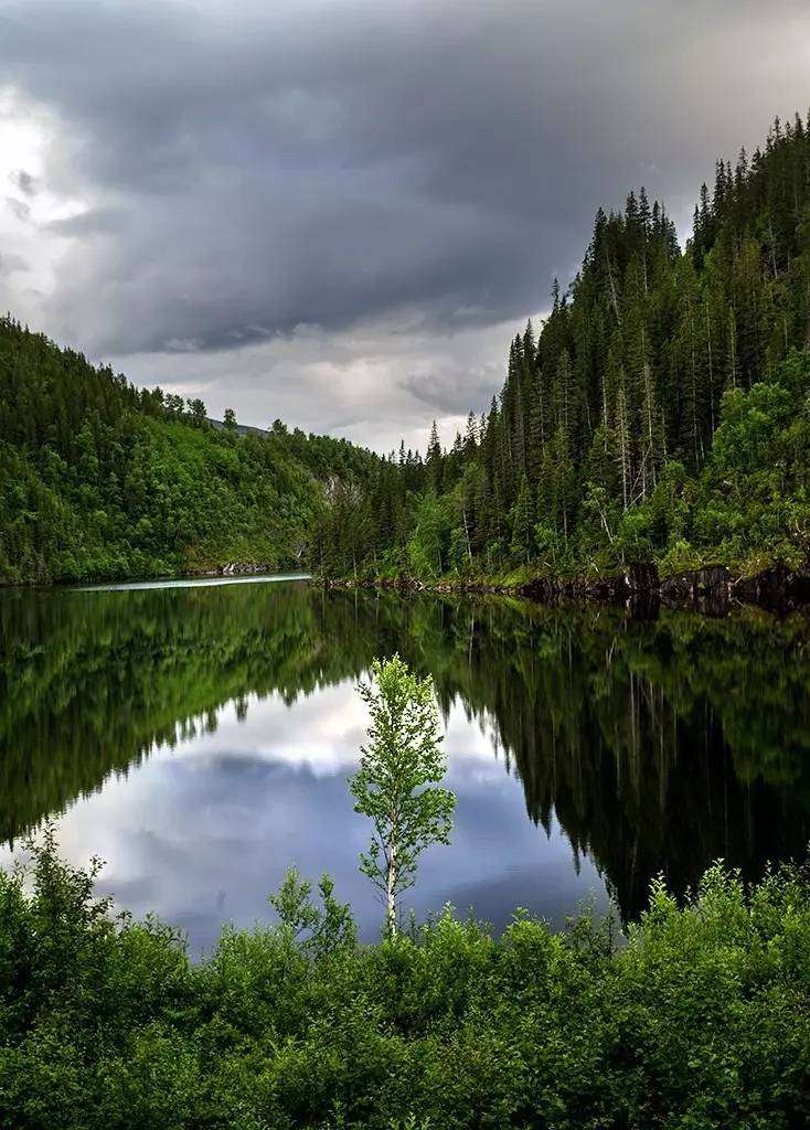 盛鱼 的想法: 《挪威的森林》 | 我追求的是一种单纯的… - 知乎