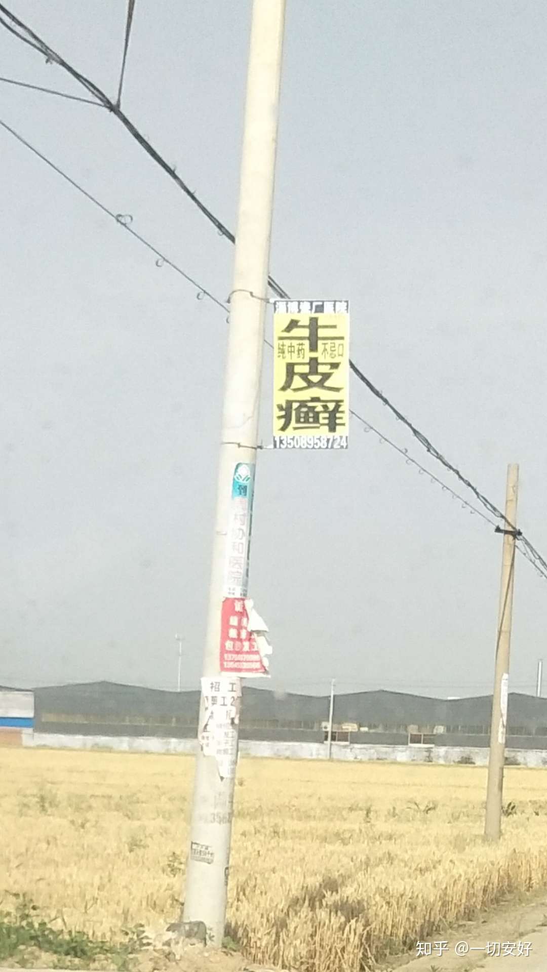 一切安好 的想法: 电线杆上的牛皮癣广告全是假的,纯中药不… - 知乎