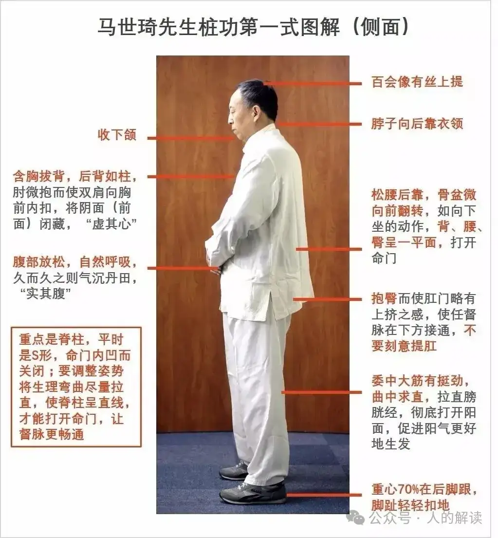 站桩，最简单的炼气功法-人的解读