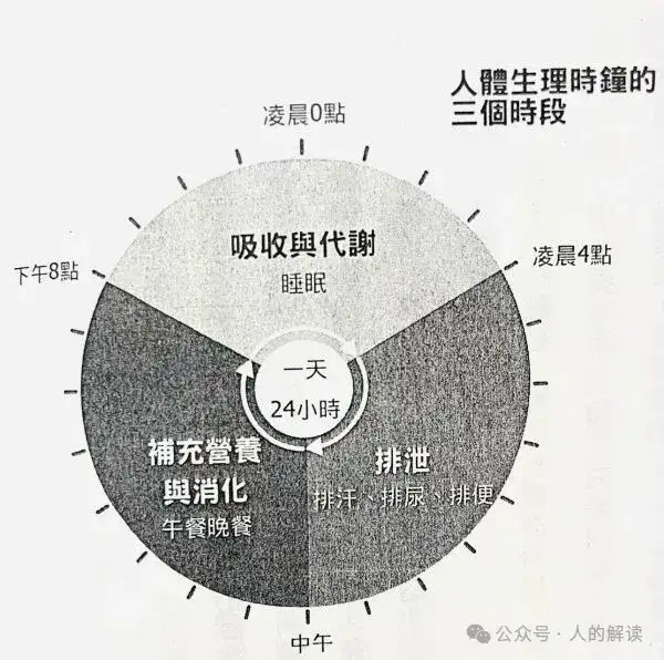 轻断食的奥秘，核心也是转化意识-人的解读