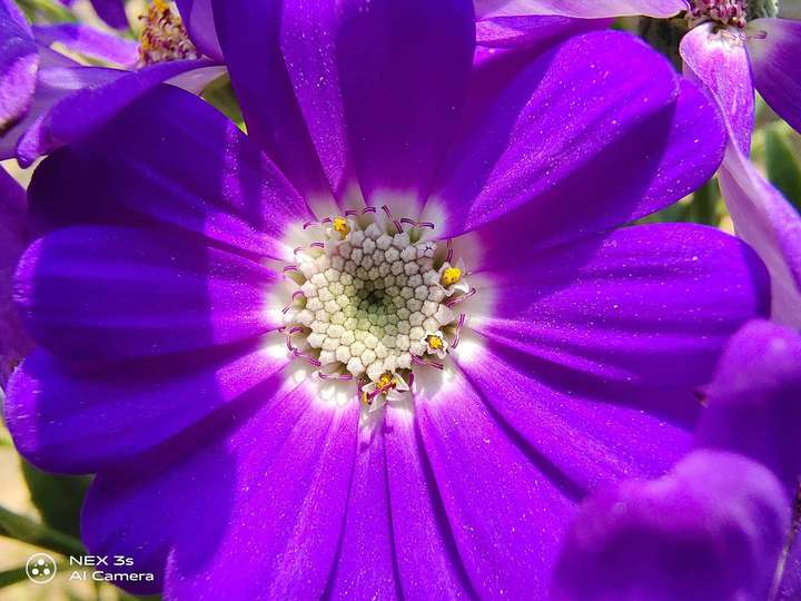 #V粉十年#见证vivo影像力升华