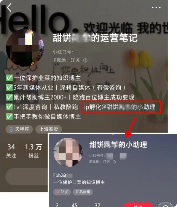 图片[6]-小红书矩阵玩法：大号小号配合实现低风险引流的完整方法-五柳网