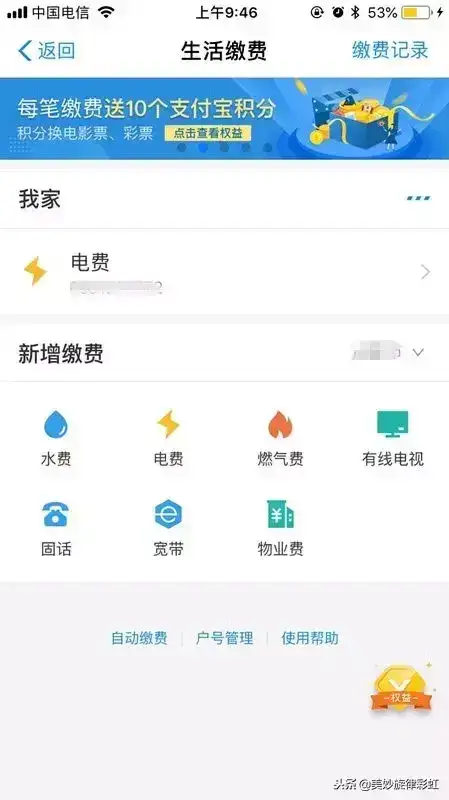 蚂蚁森林有什么用？支付宝领取能量能干啥