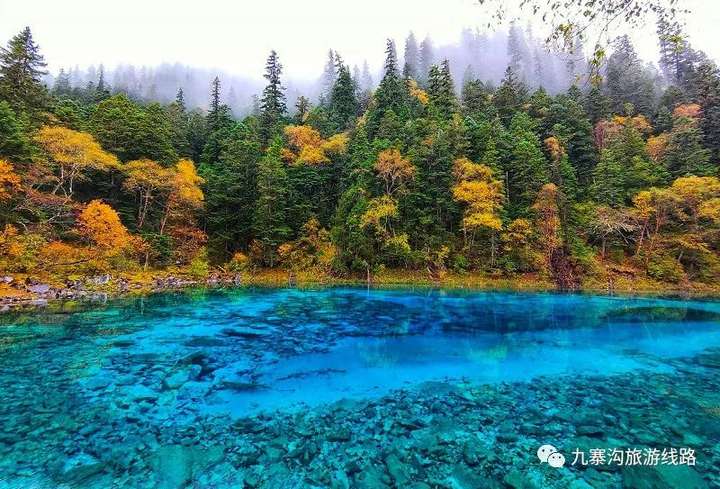 去九寨沟旅游要多少钱（去九寨沟旅游需要带什么）