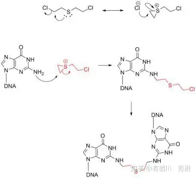 芥子气对人体有长期的损害吗