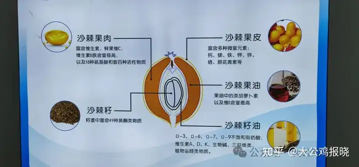 传承中医文化