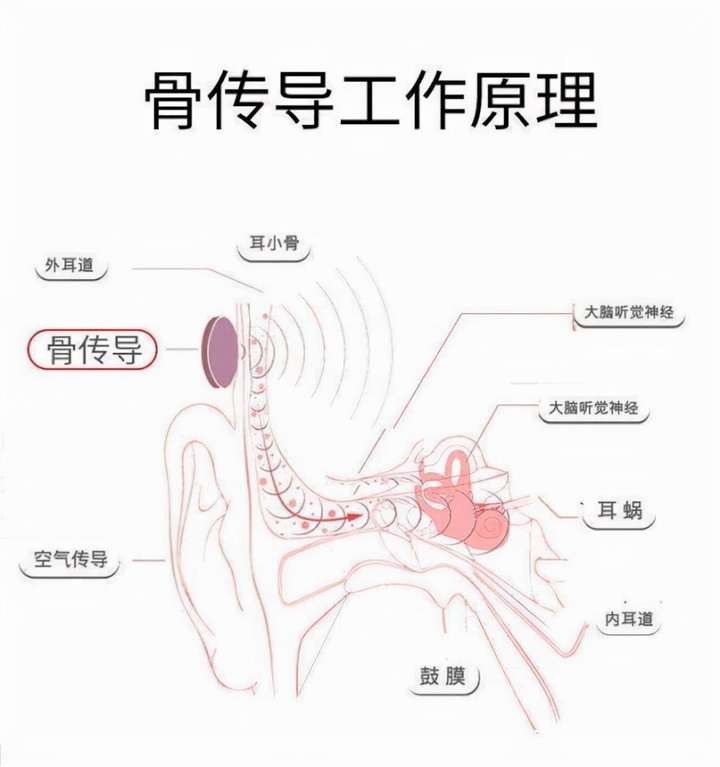 骨传导耳机怎么戴？骨传导耳机正确戴法图解