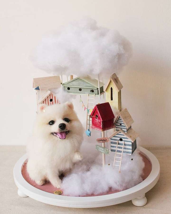 毛毡是什么(羊毛毡能做出什么)插图(9) 毛毡是什么(羊毛毡能做出什么)插图(9)