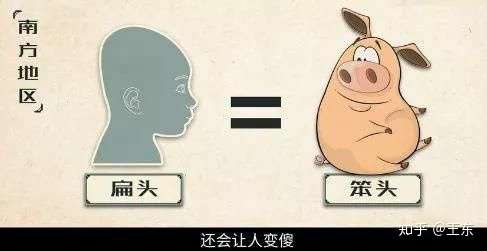 扁头真的智商低吗?