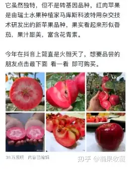 单篇盈利 2万+,以书籍号、食品号为例,分享头条带货容易赚钱的账号类型及技巧