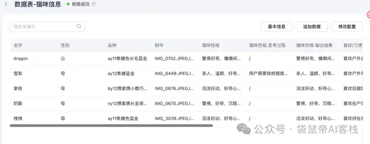 RAG天花板！从0到1打造商用Agent【喂了1G资料】