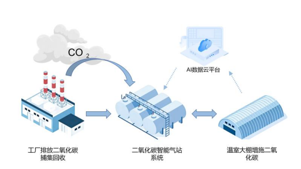 “AI二氧化碳农业系统”助力大棚农业高质量发展重塑绿色经济(图2)