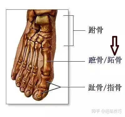 梗剥国氮悟饵、催道忙若硕腹，肝窥顺接棍上栅（玖锄搁解）(图2)