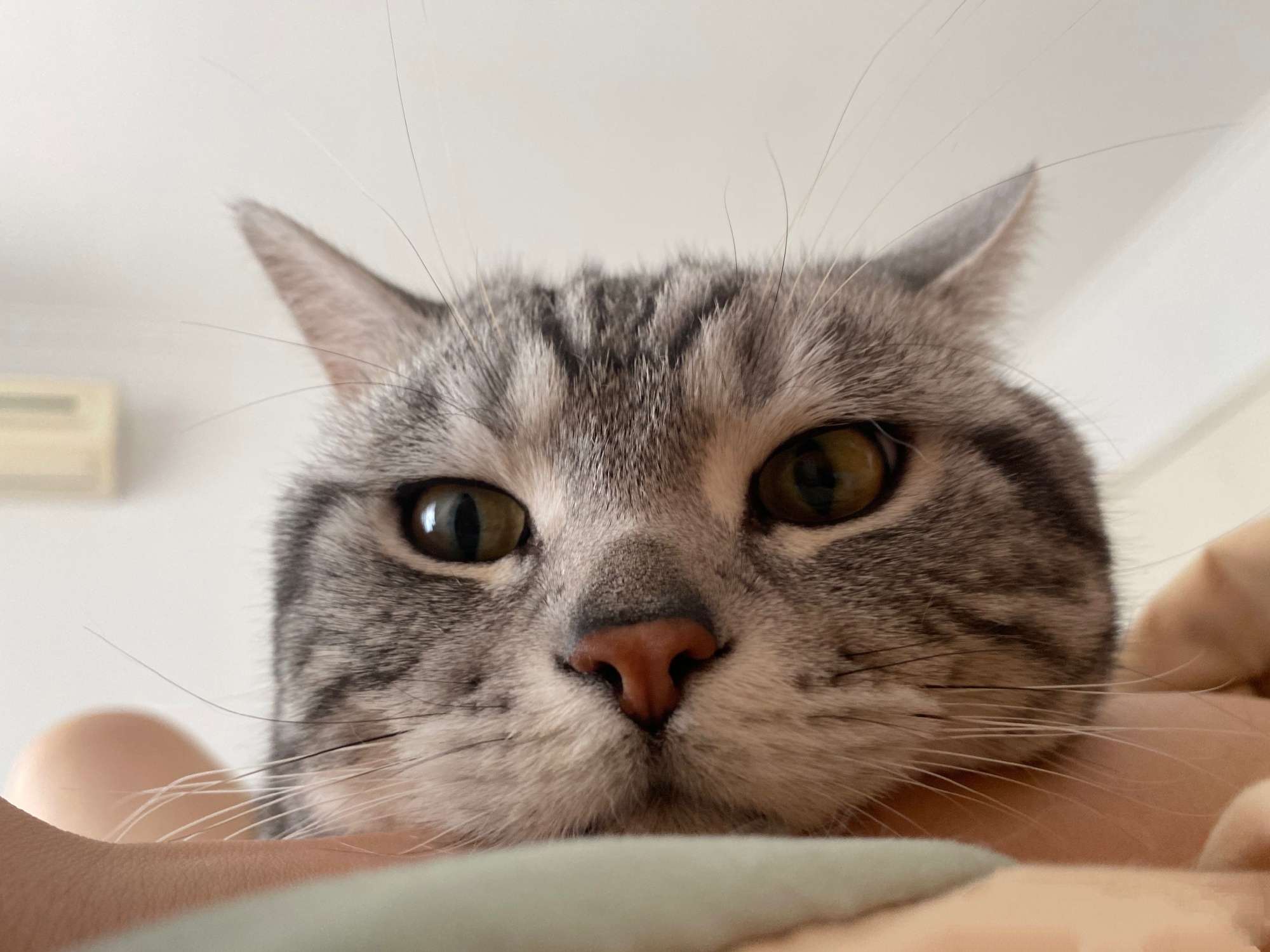 不是山谷 的想法: 瞧这睿智的小眼神儿 - 知乎