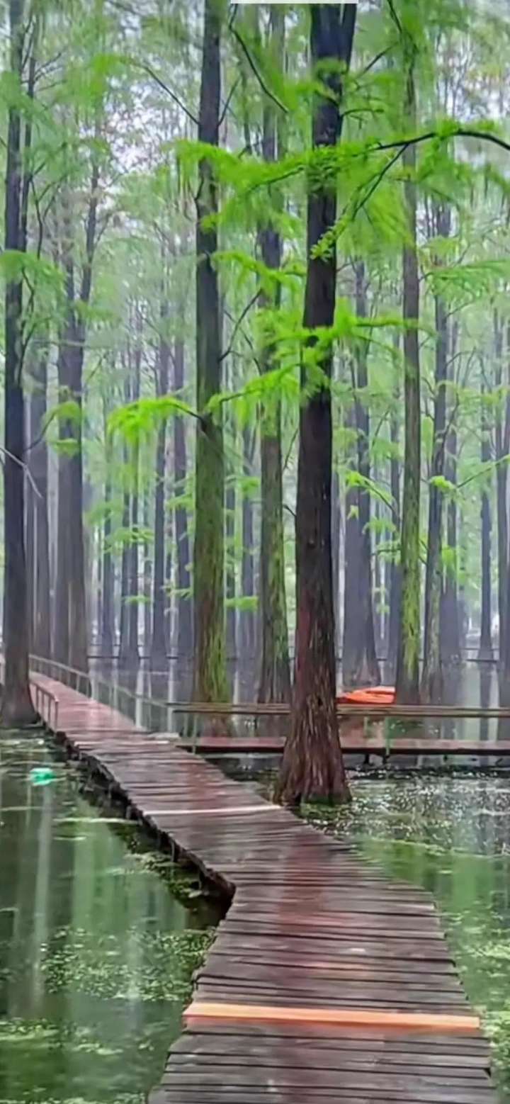 孩子们渴求必读书单-乐学小窝