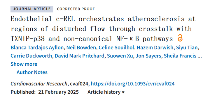 內皮 c-REL 通過與 TXNIP-p38 和非經典 NF-κB 通路的串擾在血流紊亂區域協調動脈粥樣硬化