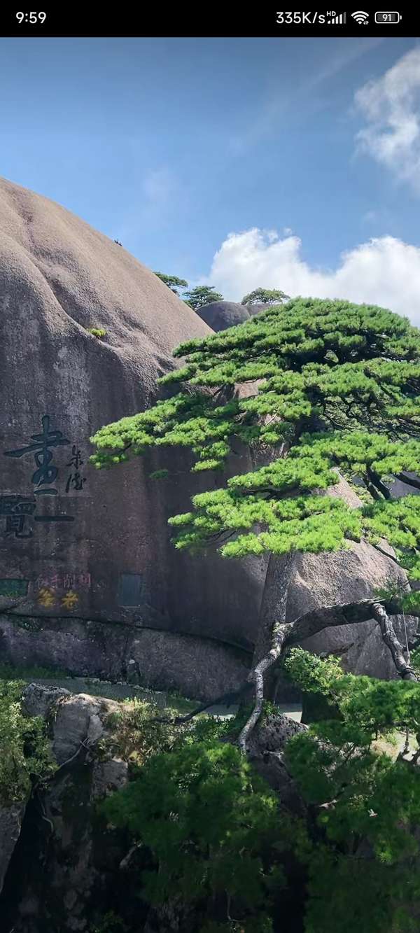 梧桐青年 的想法 天将降大任于斯人也,必先苦其心志,劳其… 知乎 梧桐青年 的想法 天将降大任于斯人也,必先苦其心志,劳其… 知乎