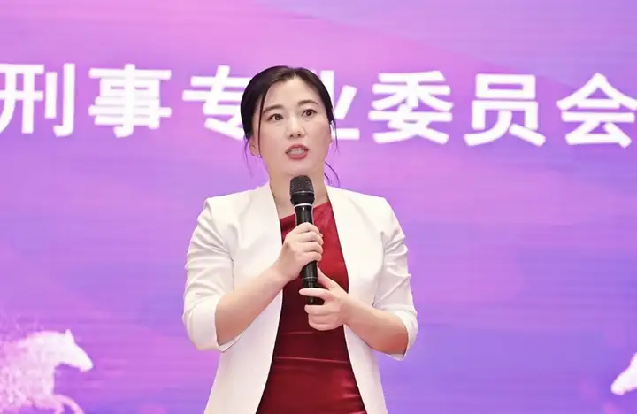 刑铸法治 骏启新程｜大成刑委会2025年会盛典耀启邕城