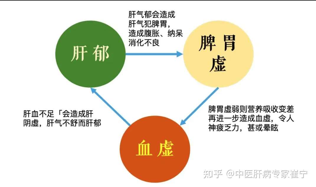 肝脾不和怎么调理 知乎
