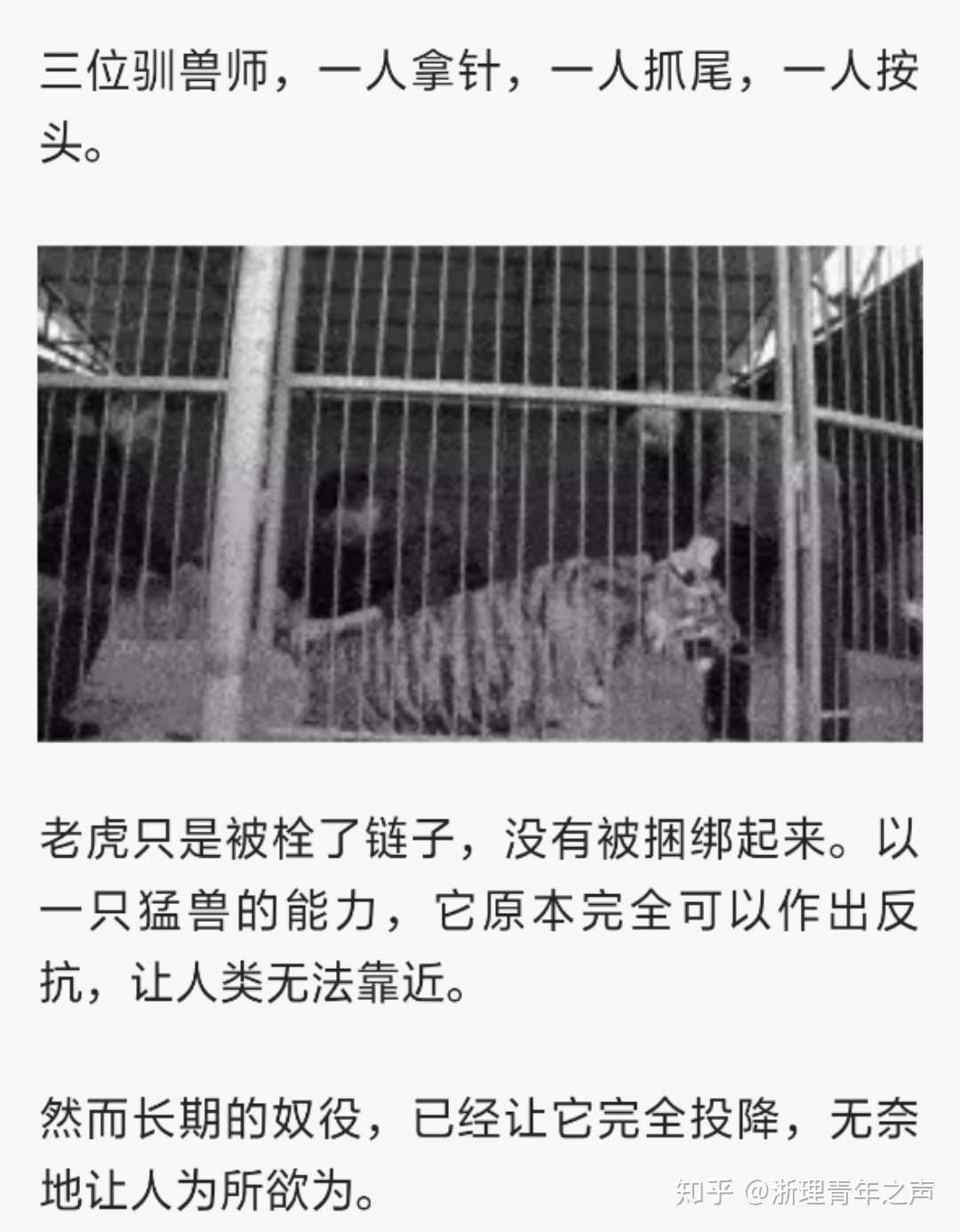 浙理国教分号惜珏设计师