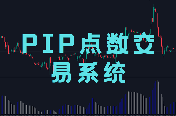 PIP点数交易系统