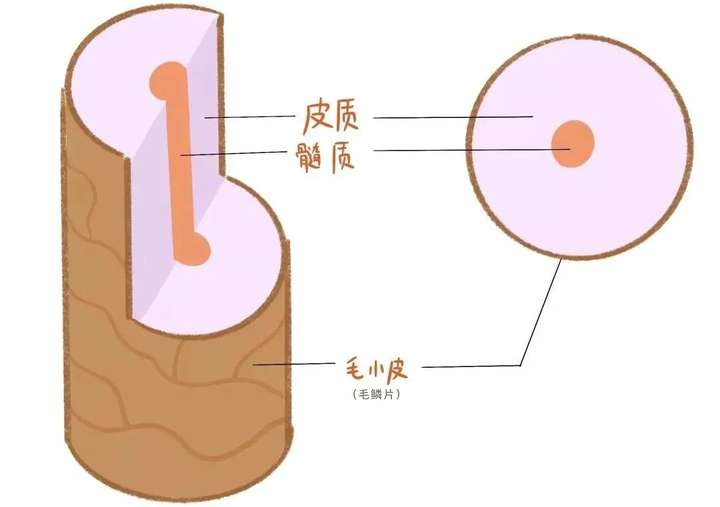 发膜什么牌子效果最好？十大最好用发膜排行榜