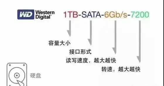 一个新手怎么开玩具店现在开玩具店（新手怎样经营玩具店）