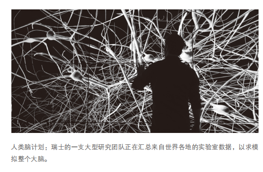 万字追问：人类需要AI，还是更需要自身AI化？