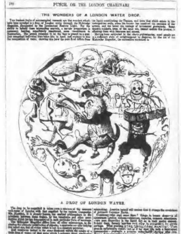 图片[3] - 中医能像西医那样被广泛认可吗，中医与西医相比，从受众程度来看，究竟是输在哪个地方？ - 吐槽银魂 - 大众生活 - 万事屋 | 生活·动漫·娱乐综合社区-银魂同好聚集地