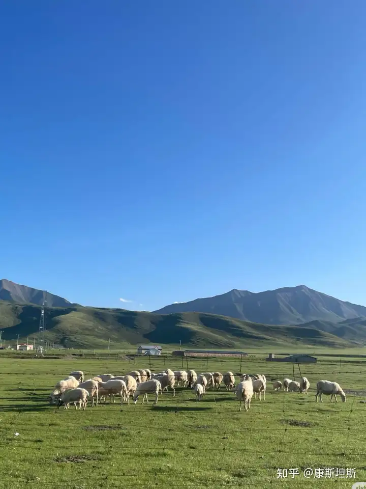 从你的经历来看，中国最宜居的城市或者地区是哪里？