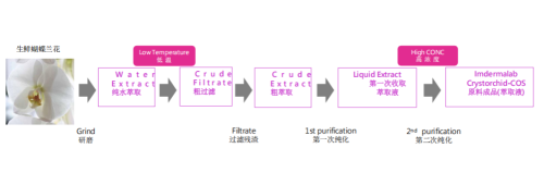 纽莱伊美新品发布：晶采凝露兰花油璀璨登场