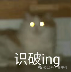 对话逐际动力张巍：造机器人很容易，关键是用起来
