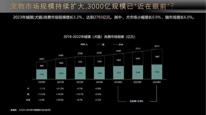 新的猫咪经济到来，吉金佳懿猫猫月与公益同行