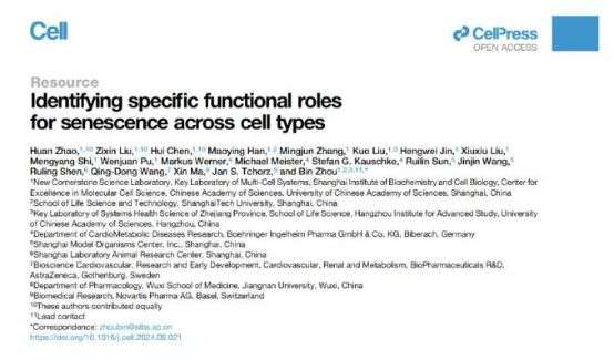 衰老研究进入细胞级维度，GRANVER吉返盾引领细胞抗衰