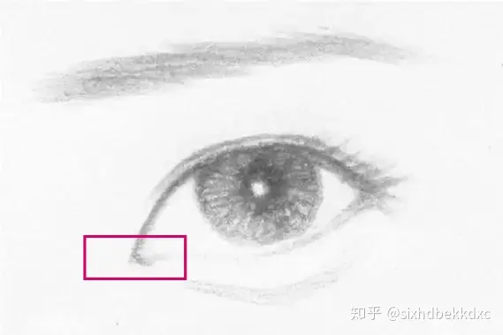 怎样区别各种各样的眼睛，比如桃花眼一类？插图18