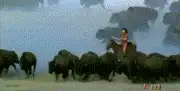 为什么德克萨斯州又被叫做“孤星州”？