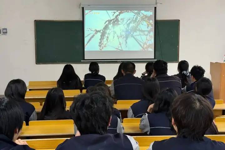 【平安校园】筑牢安全防线 青春守护家国 | 我校组织开展全民国家安全教育系列活动!