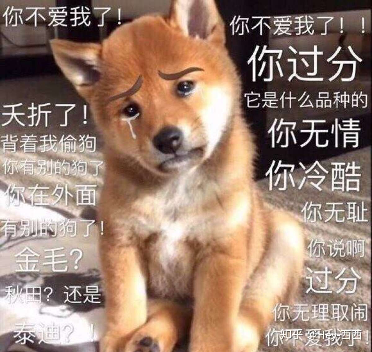 我真的真的不要再看小说了