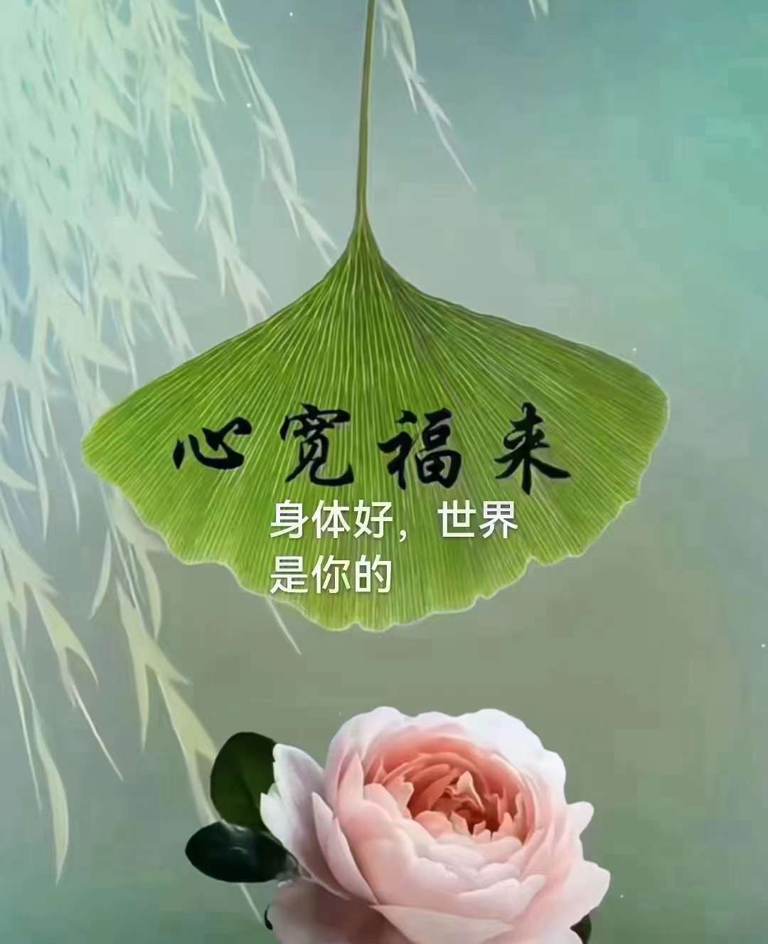 转好运的阳光图片大全图片