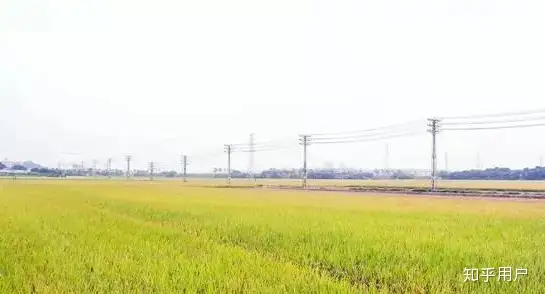 东莞有什么好玩的地方？